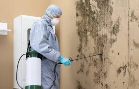 Forensic Mold Investigation in Valatie, NY